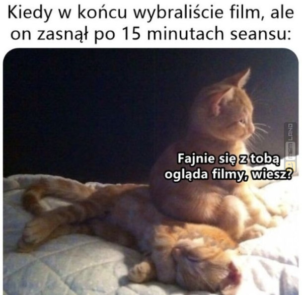 Śmieszny mem: 0224050 - MemLand
