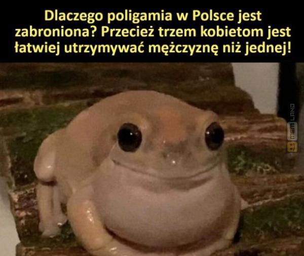 Śmieszny mem: 0230633 - MemLand