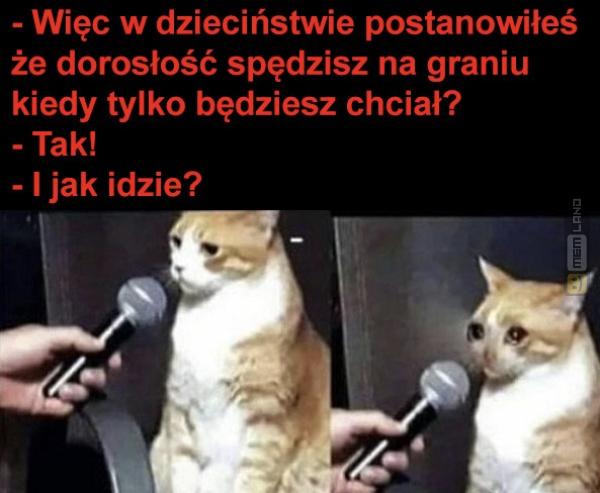 Śmieszny mem: 0235223 - MemLand