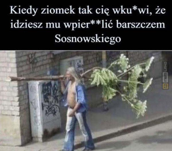 Śmieszny mem: 0241501 - MemLand