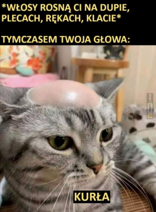 Śmieszny mem: 0243933 - MemLand