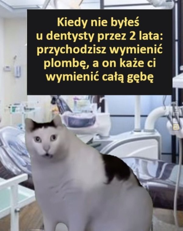 Śmieszny mem: 0245885 - MemLand