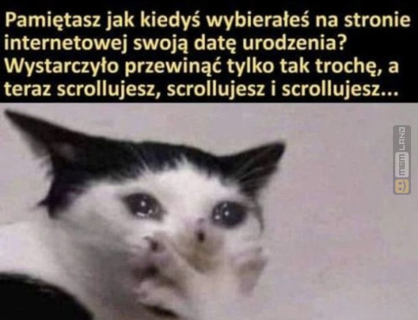 Śmieszny mem: 0246001 - MemLand