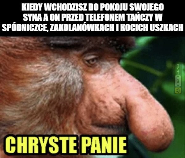 Śmieszny mem: 0251589 - MemLand