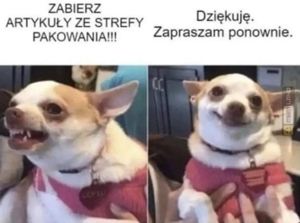 Śmieszny mem: 0251866 - MemLand