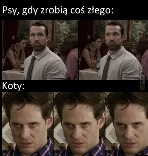 Śmieszny mem: 0252190 - MemLand