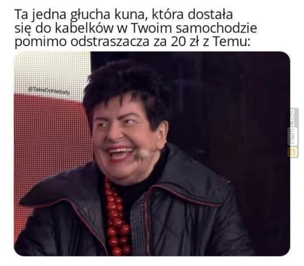 Śmieszny mem: 0261785 - MemLand