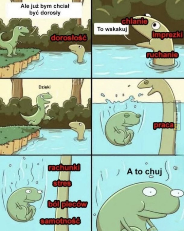 Śmieszny mem: 0262446 - MemLand