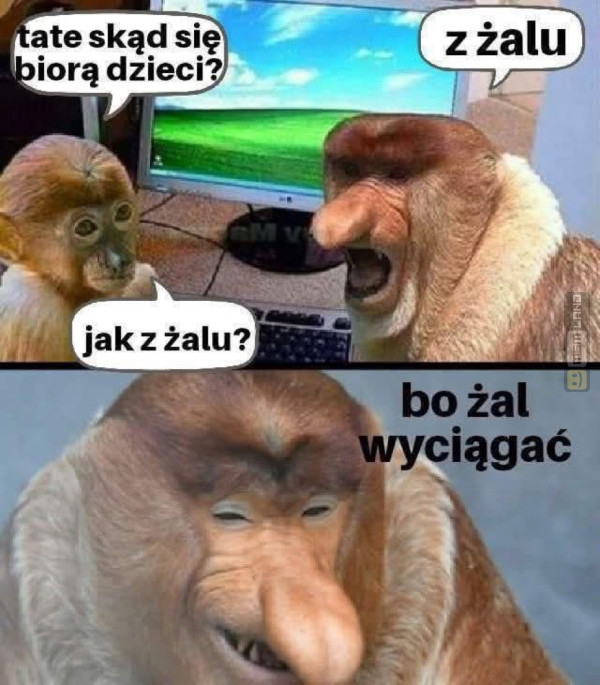 Śmieszny mem: 0262655 - MemLand