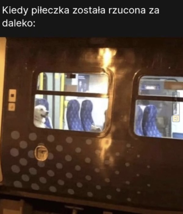 Śmieszny mem: 0272898 - MemLand