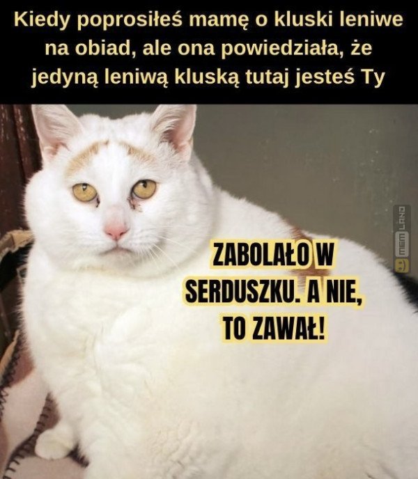 Śmieszny mem: 0278094 - MemLand