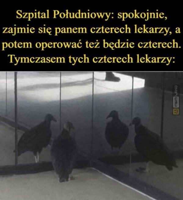 Śmieszny mem: 0283399 - MemLand