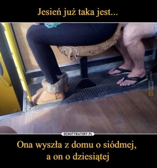 Śmieszny mem: 0285557 - MemLand