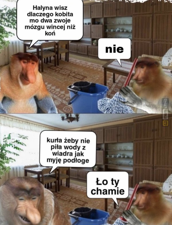 Śmieszny mem: 0286144 - MemLand