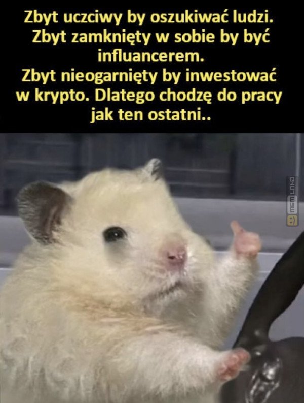Śmieszny mem: 0292282 - MemLand