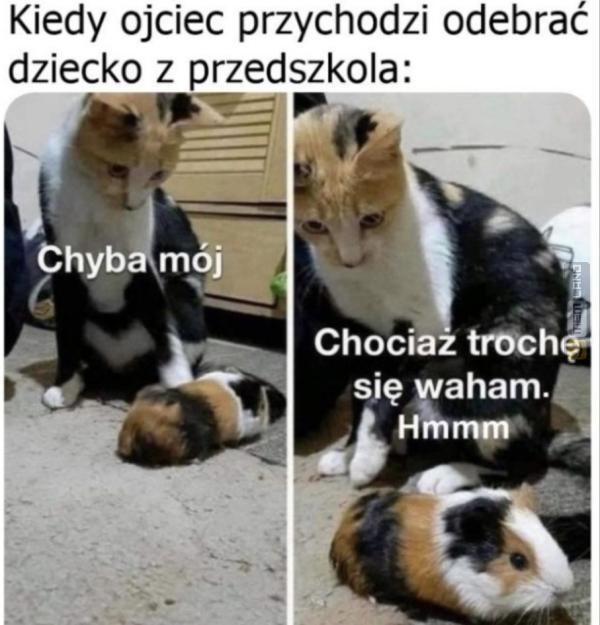 Śmieszny mem: 0294145 - MemLand