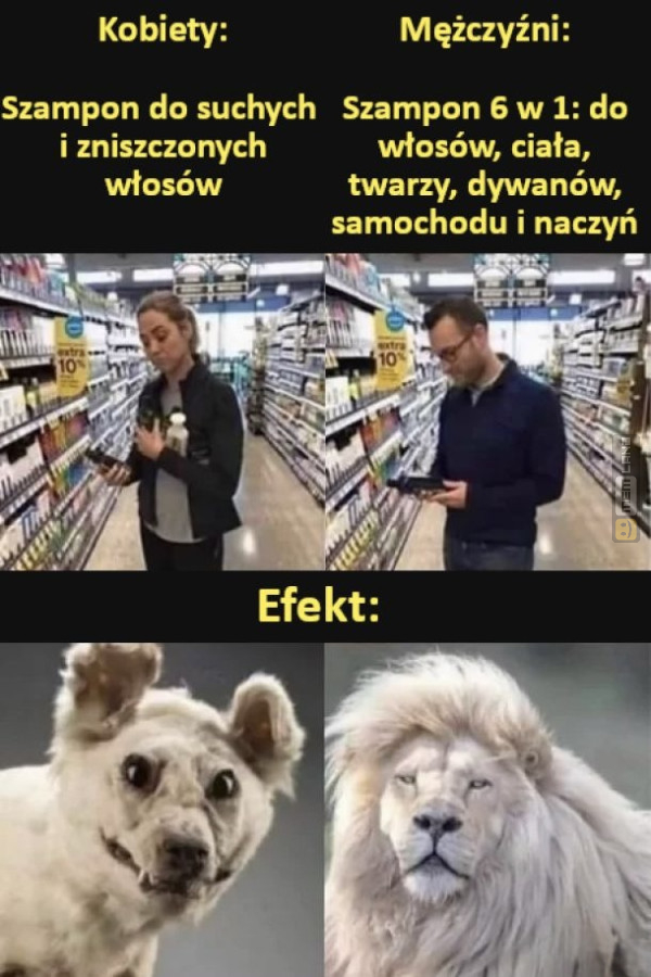 Śmieszny mem: 0296423 - MemLand