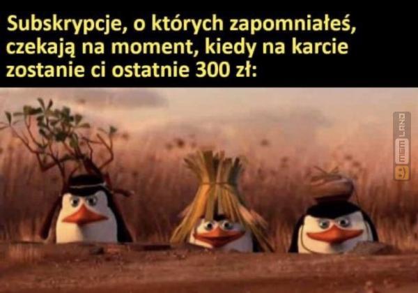 Śmieszny mem: 0298289 - MemLand