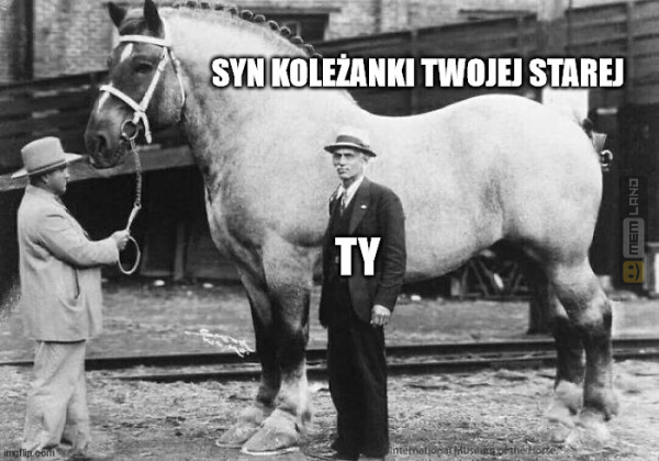 Śmieszny mem: 0300147 - MemLand