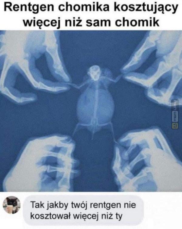 Śmieszny mem: 0308097 - MemLand