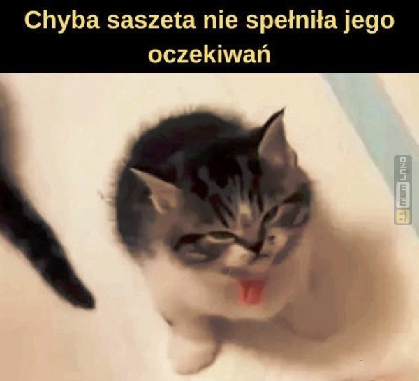 Śmieszny mem: 0317844 - MemLand