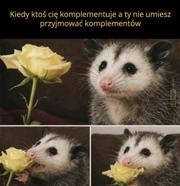 Śmieszny mem: 0318689 - MemLand
