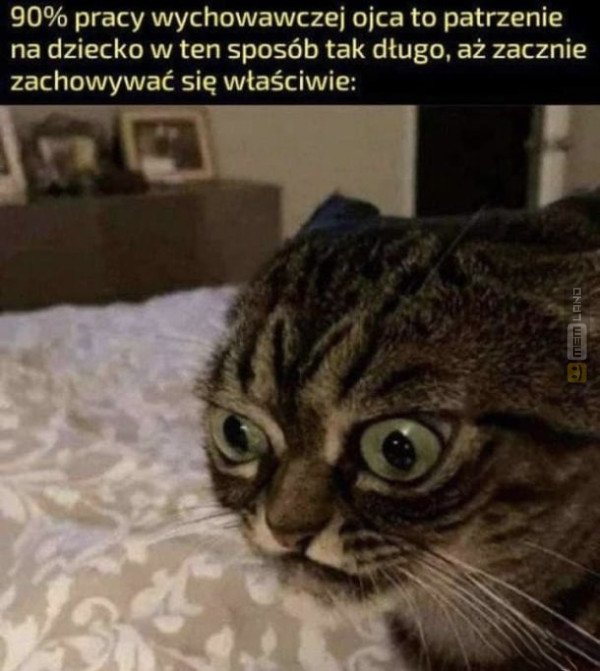 Śmieszny mem: 0323764 - MemLand