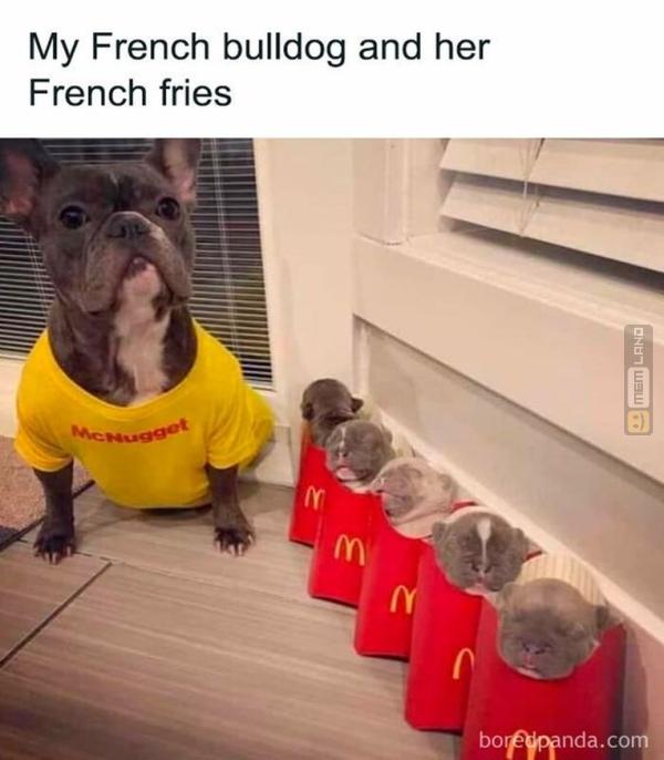 Śmieszny mem: 0329910 - MemLand