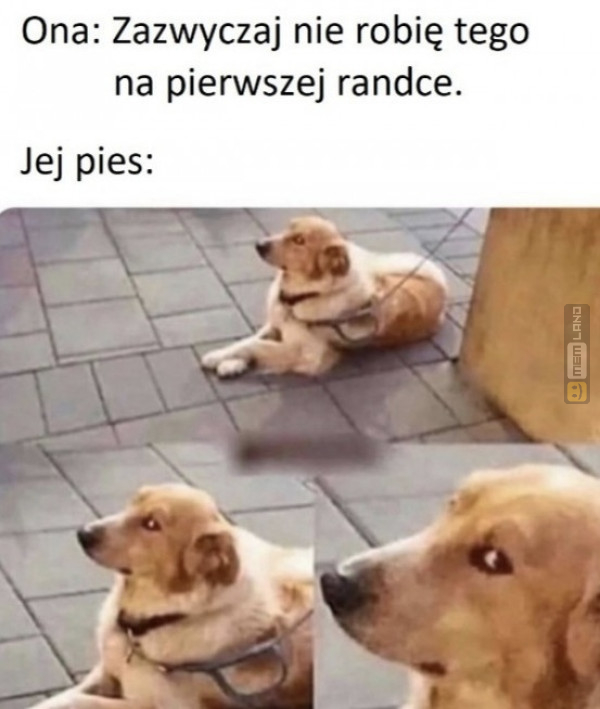Śmieszny mem: 0335588 - MemLand