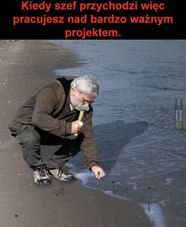 Śmieszny mem: 0336543 - MemLand