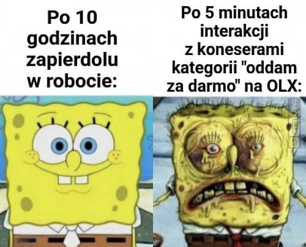 Śmieszny mem: 0337499 - MemLand