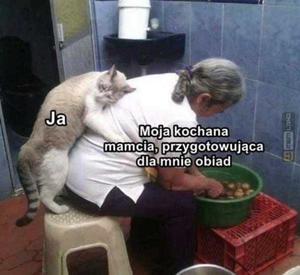 Śmieszny mem: 0339683 - MemLand