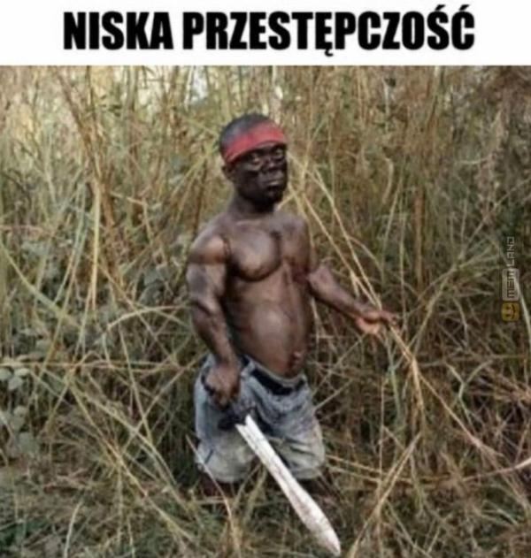 Śmieszny mem: 0341115 - MemLand