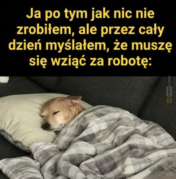 Śmieszny mem: 0342917 - MemLand
