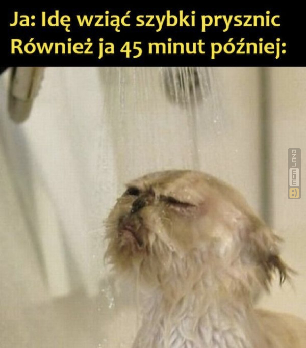 Śmieszny mem: 0344239 - MemLand