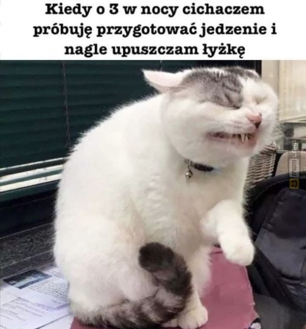 Śmieszny mem: 0346817 - MemLand