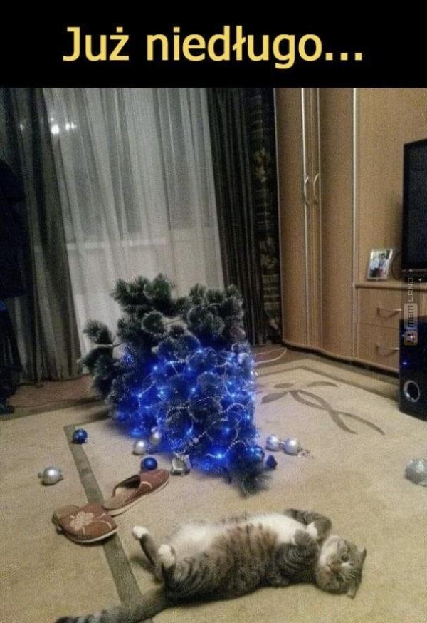 Śmieszny mem: 0349155 - MemLand