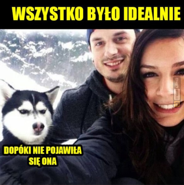 Śmieszny mem: 0367401 - MemLand