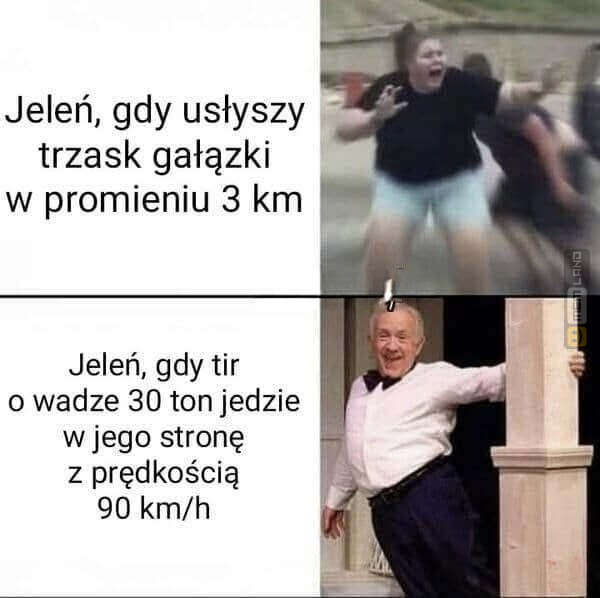 Śmieszny mem: 0378800 - MemLand