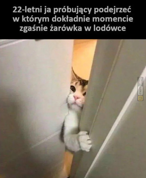 Śmieszny mem: 0379164 - MemLand