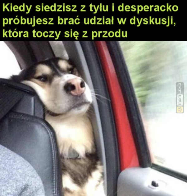 Śmieszny mem: 0379981 - MemLand