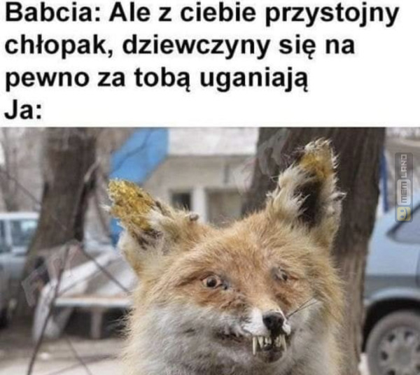 Śmieszny mem: 0393026 - MemLand