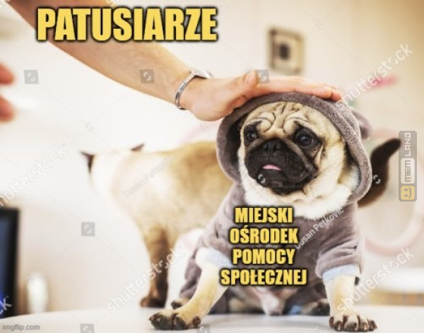 Śmieszny mem: 0396517 - MemLand