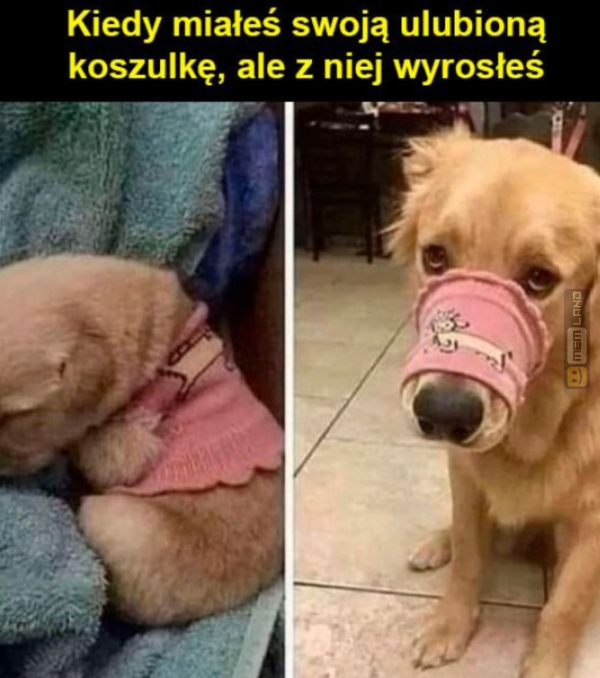 Śmieszny mem: 0407291 - MemLand