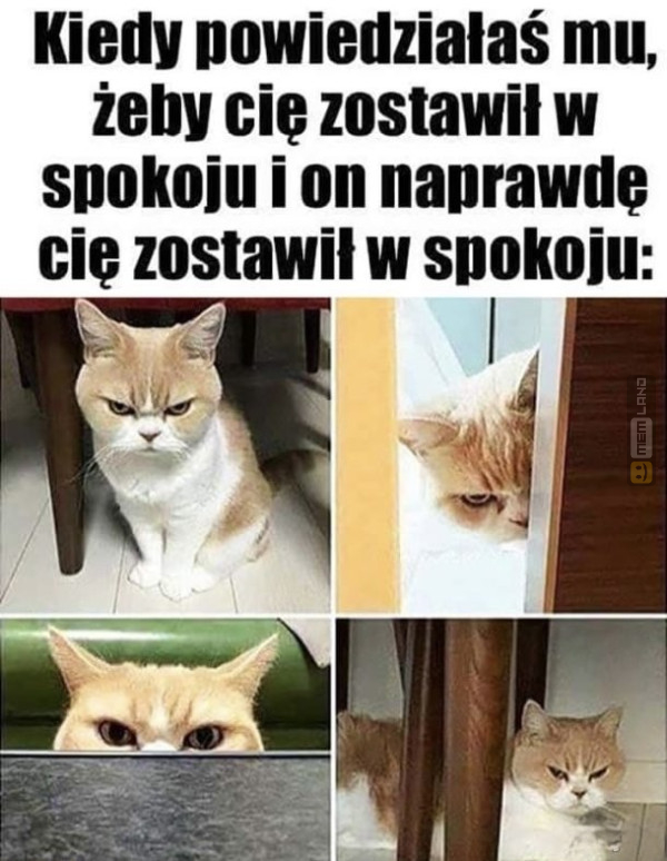 Śmieszny mem: 0422232 - MemLand