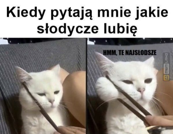 Śmieszny mem: 0422561 - MemLand