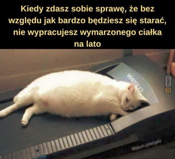 Śmieszny mem: 0427358 - MemLand