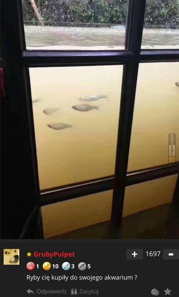 Śmieszny mem: 0430929 - MemLand