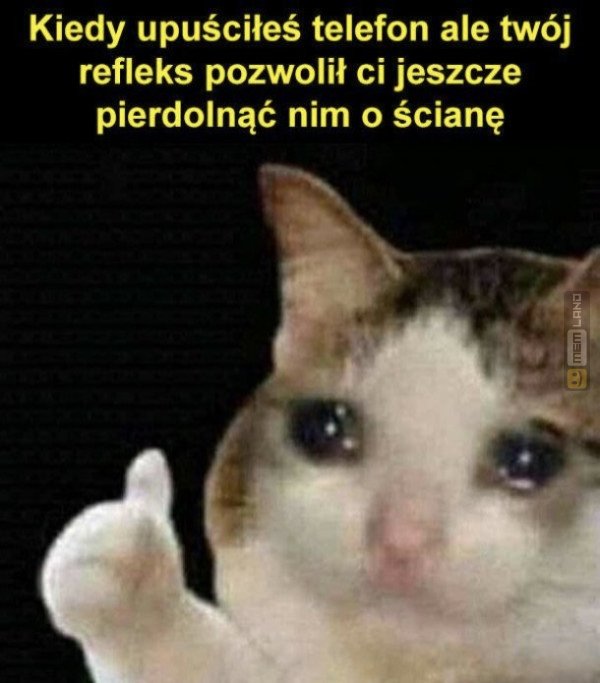 Śmieszny mem: 0439613 - MemLand