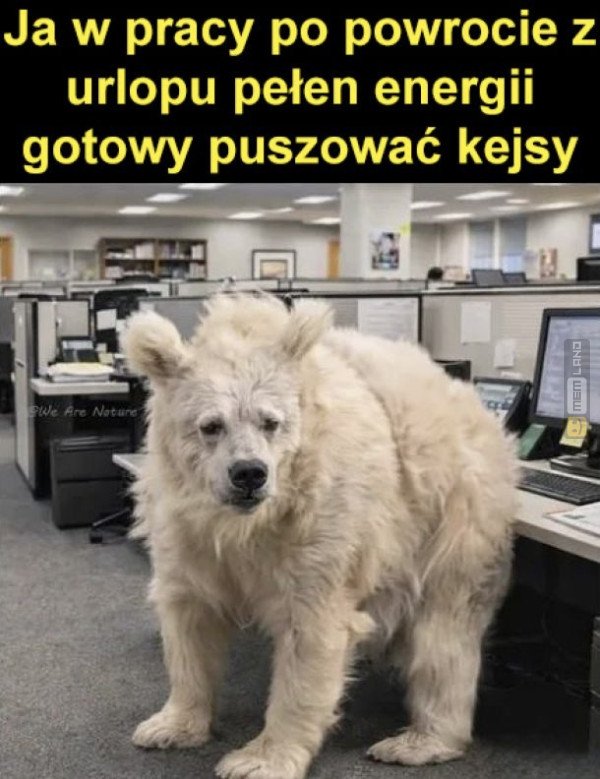Śmieszny mem: 0439639 - MemLand
